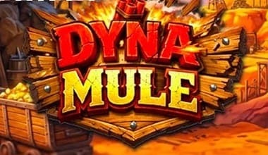 Dyna Mule